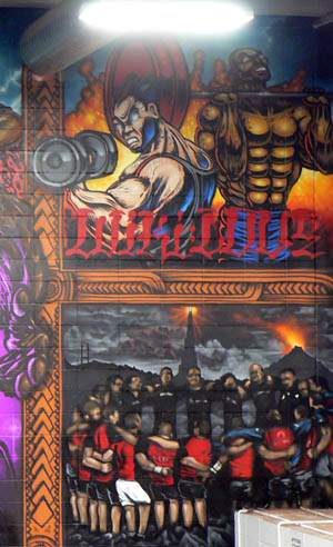 detail of vodafone Warriors NRL graffiti art mural