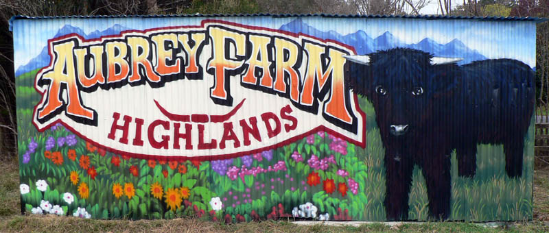 NZ farm mural 1