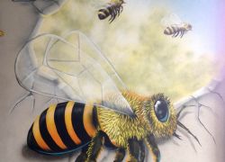 Bee-street-art-mural-1