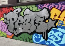 Pest5-Auckland-2021